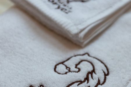 Apartamenty Borycz - Apartament Elif