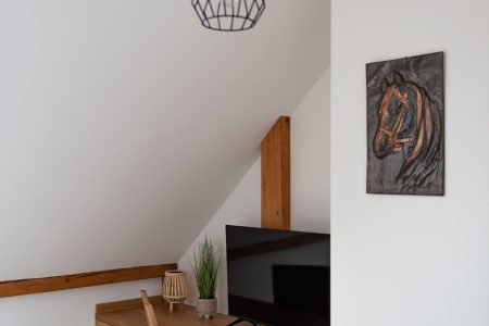 Apartamenty Borycz - Apartament Elif