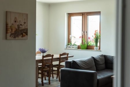 Apartamenty Borycz - Apartament nad stajnią