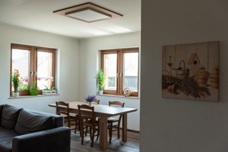 Apartamenty Borycz - Apartament nad stajnią