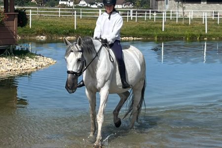 Stajnia Borycz - obozy i kolonie (14)
