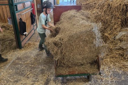 Stajnia Borycz - obozy i kolonie (15)