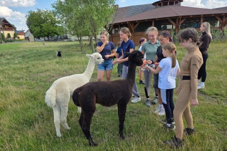 Stajnia Borycz - obozy i kolonie (17)
