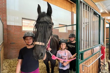 Stajnia Borycz - obozy i kolonie (18)