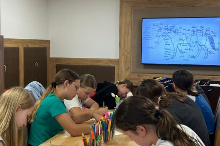 Stajnia Borycz - obozy i kolonie (27)