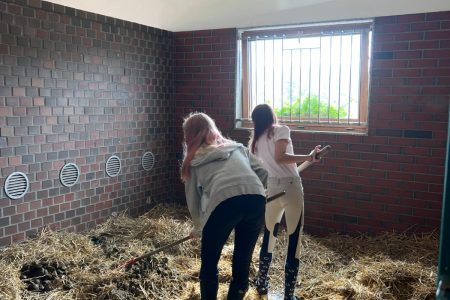 Stajnia Borycz - obozy i kolonie (31)