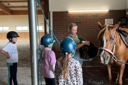 Stajnia Borycz - obozy i kolonie (7)